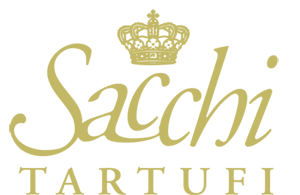 logo sacchi